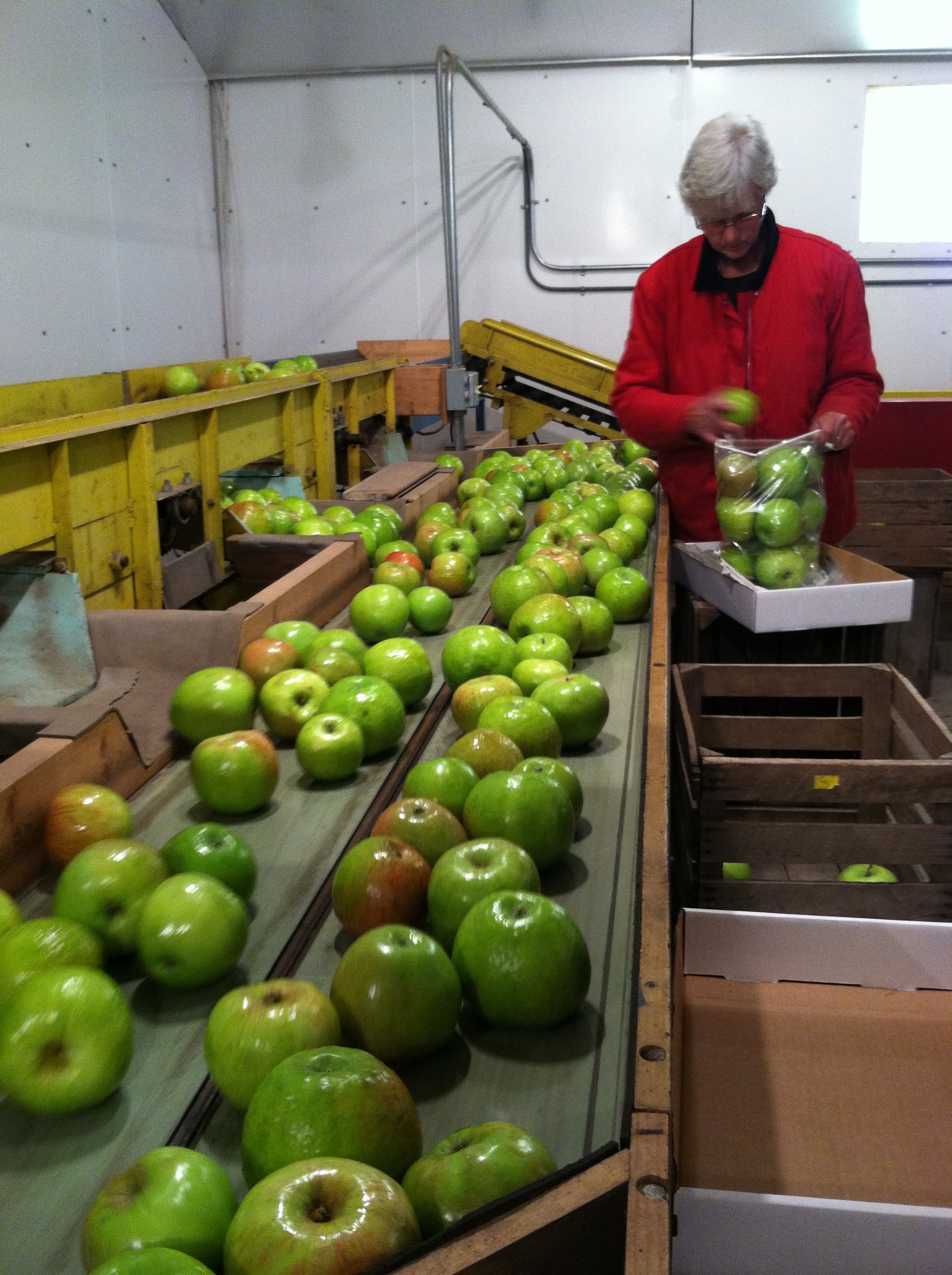 Hoen's Orchard