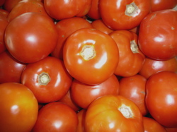 Tomatoes